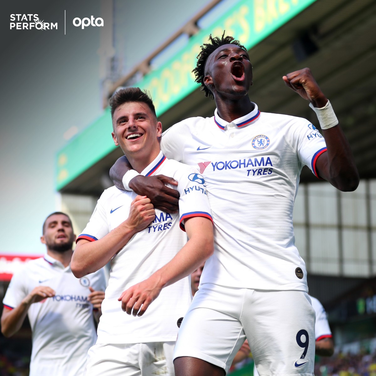 自身稳定的 自身稳定的